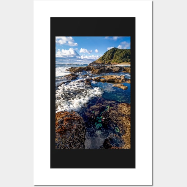 Happy Tide Pools Wall Art by JeffreySchwartz